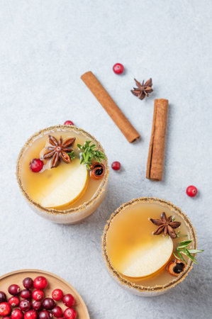 Two glasses of hot apple cider with cinnamon, anise, brown sugar and rosemary on a light background with cranberry. Concept a traditional, spicy, warming drink for fall and winter. Top view, copy space.の写真素材