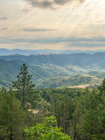 Dense pine forest in the foreground with rolling green hills and distant mountains under a cloudy sky in natural daylight.の写真素材
