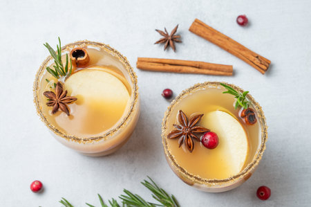 Two glasses of apple cider with cinnamon, anise, brown sugar and rosemary on a light background close up with cranberry and herb. Concept a traditional, spicy, warming drink for fall and winter. Top view, copy space.の写真素材