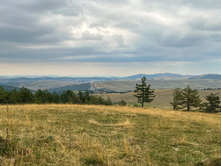 Peaceful countryside with village houses on rolling hills, natural landscape style, pine forest in foreground, rural tranquility concept.の写真素材
