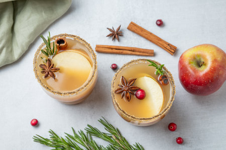 Two glasses of apple cider with cinnamon, anise, brown sugar and rosemary on a light background with fresh fruits, cranberry and herb. Concept a traditional, spicy, warming drink for fall and winter. Top view.の写真素材