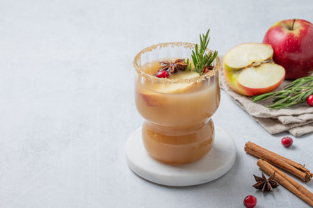 Apple cider with cinnamon, anise, brown sugar and rosemary in a glass on a light background with fresh fruits, cranberry and herb. Concept a traditional, spicy, warming drink for fall and winter. Front view, copy space.の写真素材