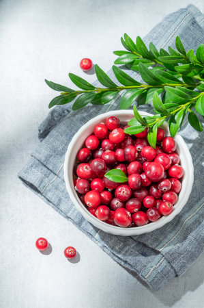 Fresh cranberries in a white bowl on a light background with green branch, napkin and sunlight. Concept of healthy natural wild berries for advertising banner. Top view, copy space.の写真素材