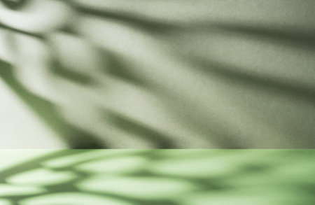 Soft gradient green background with gentle shadows, creating a serene atmosphere, ideal for product display or creative mock up with copy space for text overlay. Front view.の写真素材