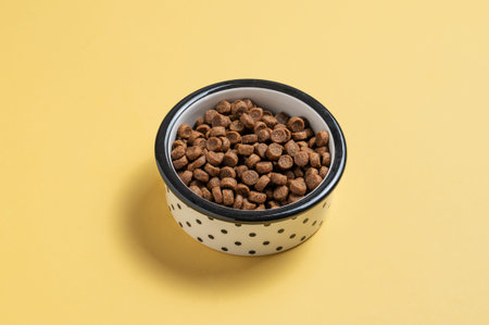A bowl of dry dog food on a yellow isolated background. Pet care and nutrition concept for a pet...