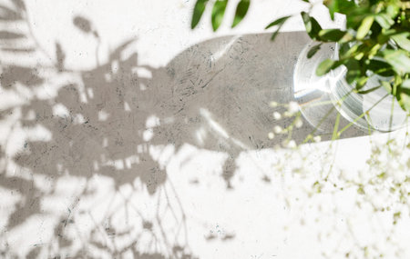 White gypsophila flowers in a glass vase with green leaves cast shadows on a textured light...