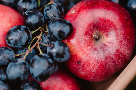 Autumnal composition of apples and grapeの写真素材