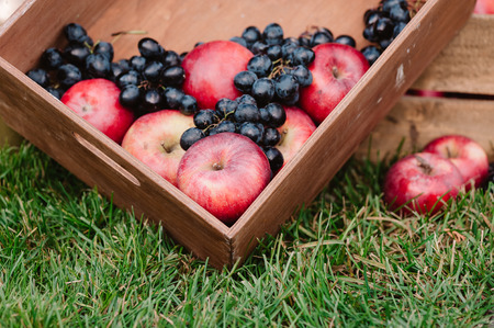 Autumnal composition of apples and grapeの写真素材