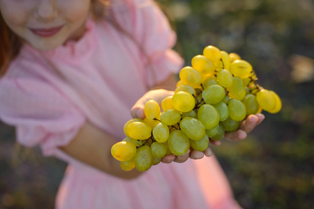 Little girl at the green field in sunset time, with grapeの写真素材