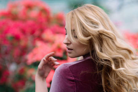 Young pretty woman between red flowersの写真素材