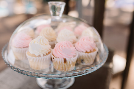 Sweet products at a wedding. Beautiful tasty cookies and cakes on glasswaresの写真素材