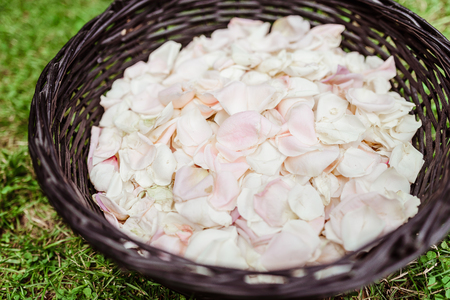 Basket with white petals of roses. Wedding details for a wedding ceremonyの写真素材