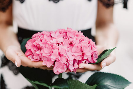 It is a lot of small pink buds with gentle petals - a big inflorescence in snow-white hands of the...