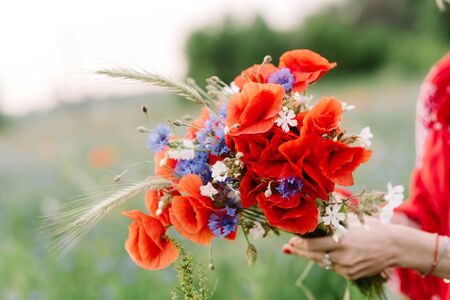 Very beautiful bouquet of field flowers and plants - red poppy, vasilks, wheat. Girl holds a stylish bouquet of fresh flowersの写真素材
