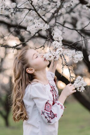 Portrait of beautiful girl with curly long hair. Beautiful girl in Ukrainian embroidered smells apricot blossom tree branch. Spring conceptの写真素材