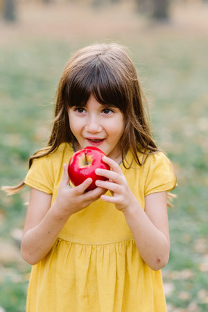Child picking apples on farm in autumn. Little girl playing in apple tree orchard. Healthy...