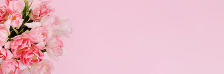 Creative spring background composition colorful flowers on pink background.の写真素材