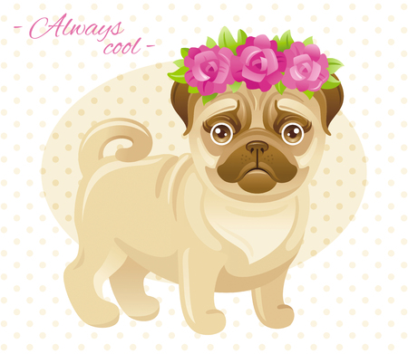 Summer fashion pug puppy dog in sweet clothes. Cartoon vector illustration isolated on white background. Flat template poster flyerのイラスト素材
