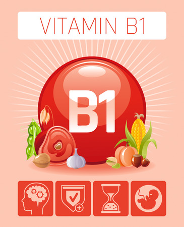 Thiamine Vitamin B1 food icons. Healthy eating flat icon set, text letter logo, isolated background. Diet Infographic chart poster, pork meat, soybean, oatmeal Table vector illustration, human benefitのイラスト素材