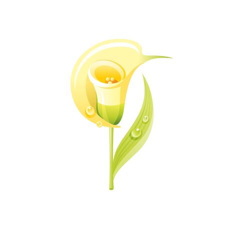Calla lily flower, floral icon. Realistic cartoon cute plant blossom, spring, summer garden symbol.のイラスト素材