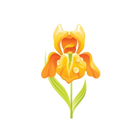 Iris flower, floral icon. Realistic cartoon cute plant blossom, spring, summer garden symbol. Vector illustration for greeting card, t shirt print, decoration design. Isolated on white backgroundのイラスト素材