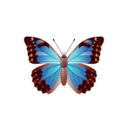 Butterfly icon. 3d realistic Morpho azure butterfly insect with beautiful blue wings. Animal sign for logo design, poster, t-shirt print, banner. Vector illustration isolated on white backgroundのイラスト素材