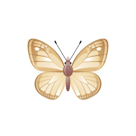 Butterfly icon. 3d realistic butterfly insect with beautiful brown beige color wings. Animal sign for logo design, poster, t-shirt print, banner. Vector illustration isolated on white backgroundのイラスト素材