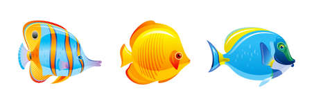 Tropical fish set. Vector aquarium or sea icons. Coral Reef underwater animals. Isolated ocean life collection. marine illustration in cartoon style. Exotic blue angelfish, butterfly, surgeon fishesのイラスト素材
