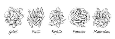 Italian pasta. Vector food sketch icon set. Doodle macaroni illustration. Hand drawn cooking collection. Fettuccine Fusilli Gobetti Malloreddus Capellini Conchiglie Tortiglioni Penne Gnocchi Farfalleのイラスト素材