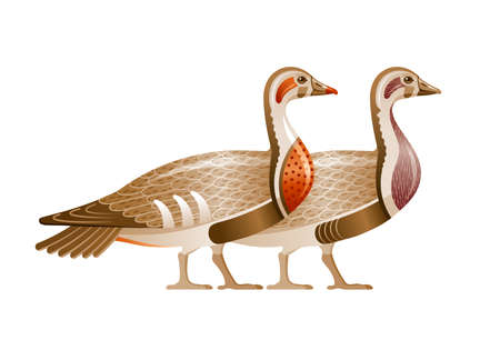 Egyptian bird vector. Geese from Egypt. Pharaoh goose art. wild duck illustration. Cartoon god Geb mythology symbol. Ancient vintage animal. old symbol icon. Mallard wildfowl vector art. Meidum geeseのイラスト素材