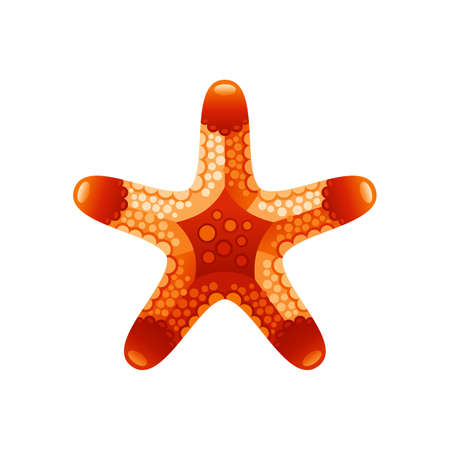 starfish vector. starfish illustration. Sea beach cartoon red icon. Coral reef orange animal. Isolated summer ocean marine seashell logo. Flat star shell. Sand coast starfish shape realistic drawingのイラスト素材