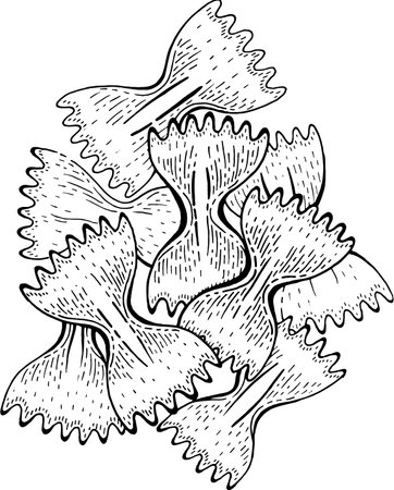 Farfalle pasta. Engrave sketch farfalle bow vector. Hand drawn italian food. Pasta butterfly shape icon. Doodle illustration. Macaroni logo design. Single vintage food. Realistic line drawing menu artのイラスト素材