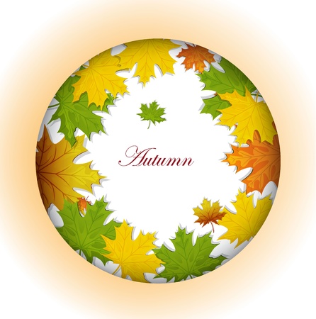 autumn maple leavesのイラスト素材
