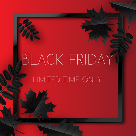 Autumn leaves with text Black Friday. Vector illustration.の写真素材