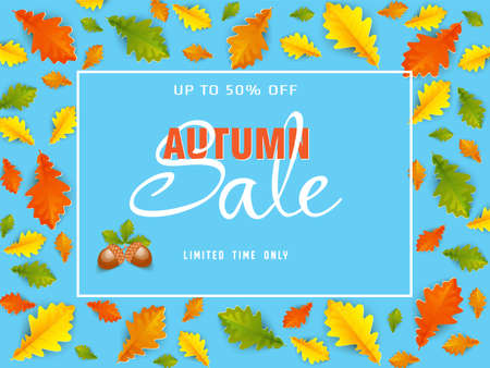 Colorful autumn maple and oak leaves on an blue backgroundのイラスト素材