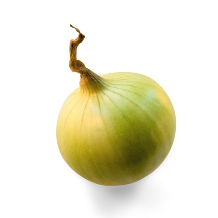 onion, yellow, without husk isolated on a white backgroundの写真素材