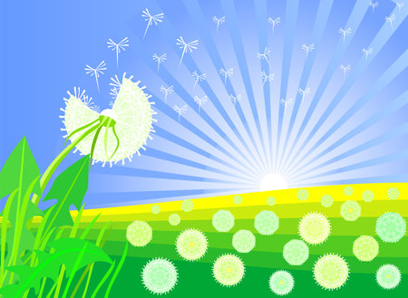 summer landscape with beautiful bright dandelion against daybreak sky and meadowsのイラスト素材