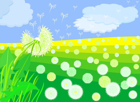 summer landscape with beautiful bright dandelion on the background of the sky and meadowsのイラスト素材
