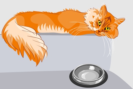 red fluffy tabby cat with yellow eyes lying on the couch in front of a bowlのイラスト素材
