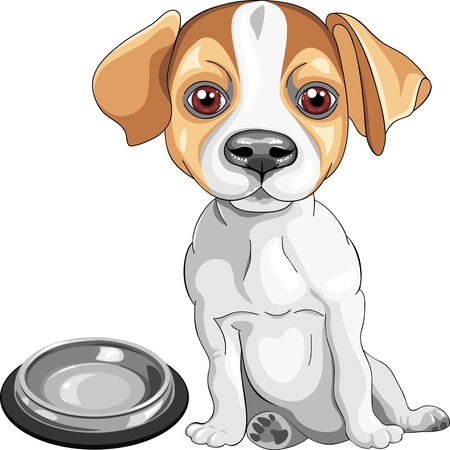 color sketch of the dog Jack Russell Terrier breed sits in front of an empty bowl, asks to eatのイラスト素材
