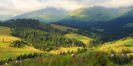Spring morning rural landscape in the Carpathian mountains. Low clouds are on the tops of mountains.