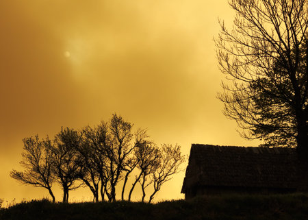 Gold graphically landscape with house and trees on the background of gloomy foggy skyの写真素材
