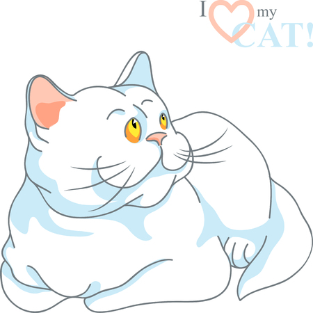 cute white cat with yellow eyes lying, isolated on the white backgroundのイラスト素材
