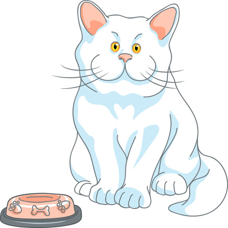 hungry cute white cat with yellow eyes and empty bowl, isolated on the white backgroundのイラスト素材