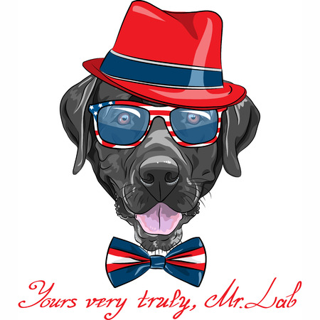Vector smiling black hipster dog breed Labrador Retriever in a red hat, glasses and bow tieのイラスト素材