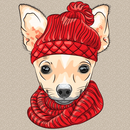 vector color sketch of the cartoon hipster cute dog Chihuahua breed in knitted hat and scarfのイラスト素材
