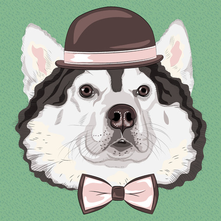 hipster dog Alaskan Malamute breed in a brown hat and bow tieのイラスト素材