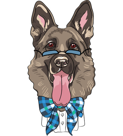 hipster dog German shepherd breed in a blue glasses and bow tieのイラスト素材