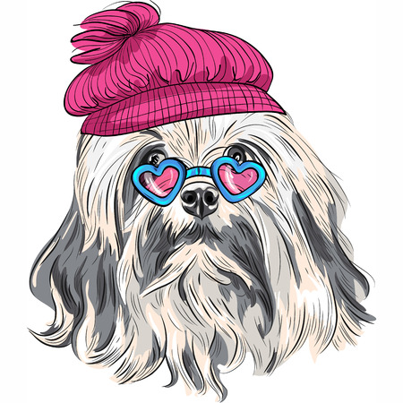 Vector hipster dog Lion Bichon (Lowchen) breed in a red hat and heart glassesのイラスト素材