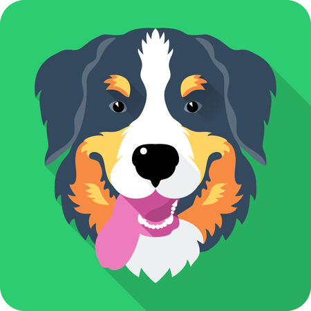 head dog Bernese Mountain Dog icon flat designのイラスト素材